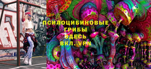тгк Алексин