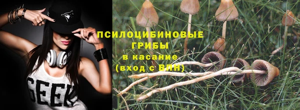 дмт Медногорск