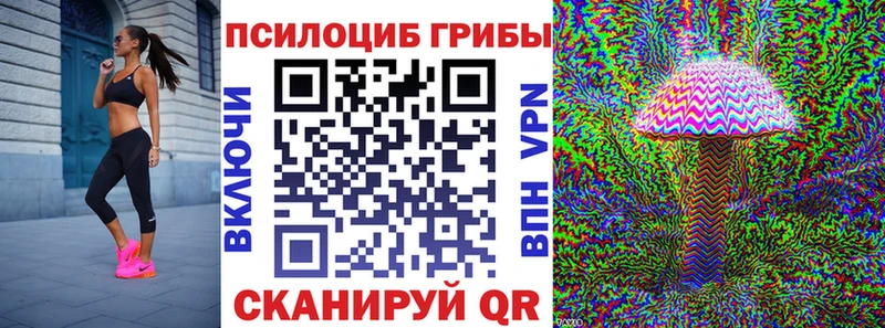 Галлюциногенные грибы Psilocybe Полтавская